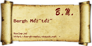 Bergh Máté névjegykártya