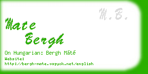 mate bergh business card
