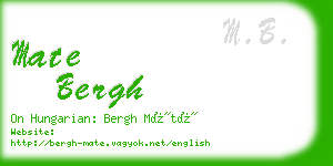 mate bergh business card